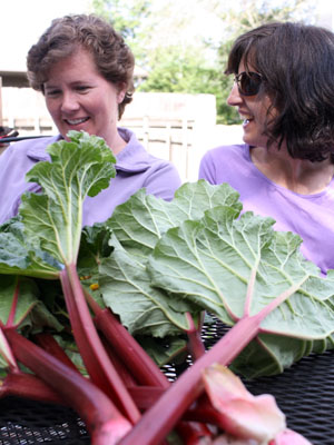 Rhubarb Sheila Diane
