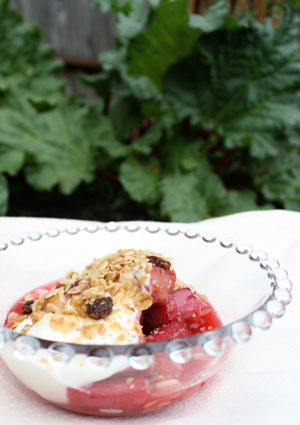 Rhubarb w yogurt